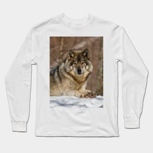 Gray Wolf Long Sleeve T-Shirt